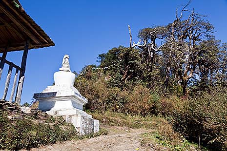 Chorten in Tinsang La