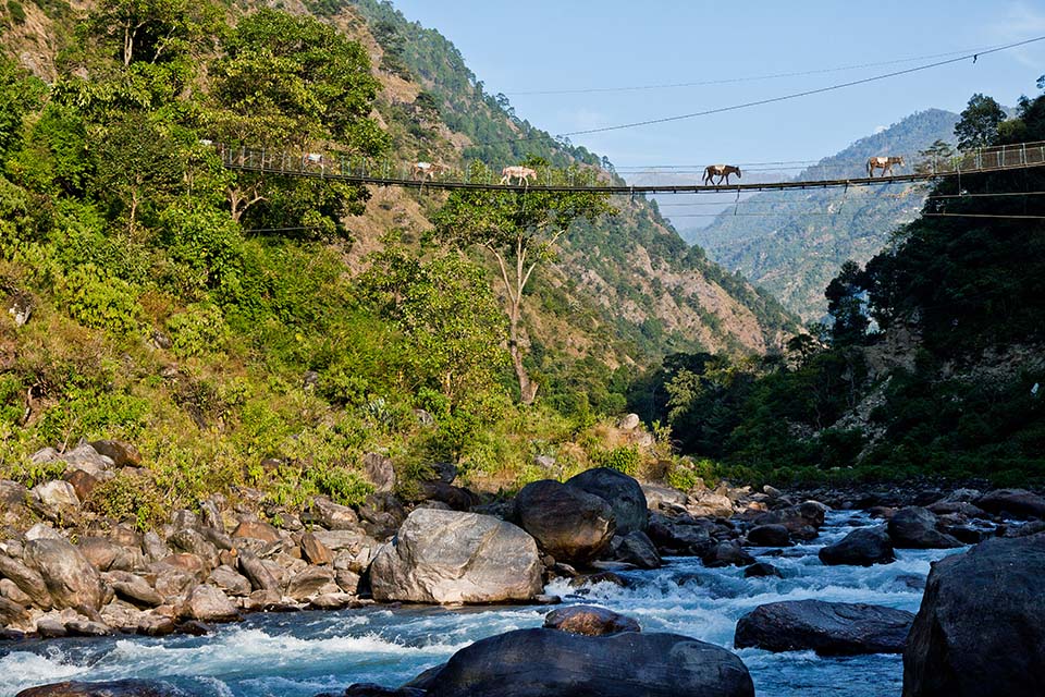 Hangbrug in Suri Dhoban