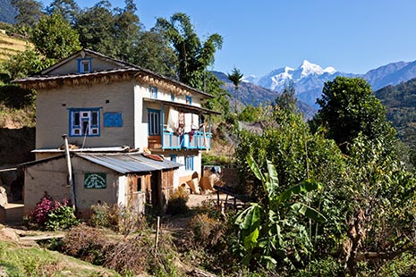 Peepal Dada