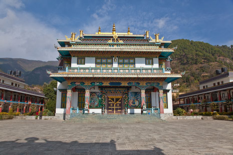 RigonTashi