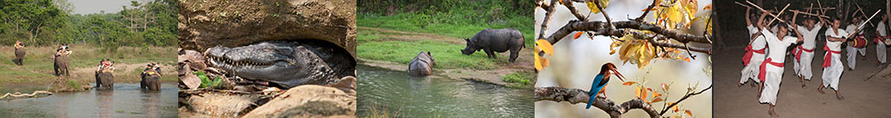 Header Chitwan