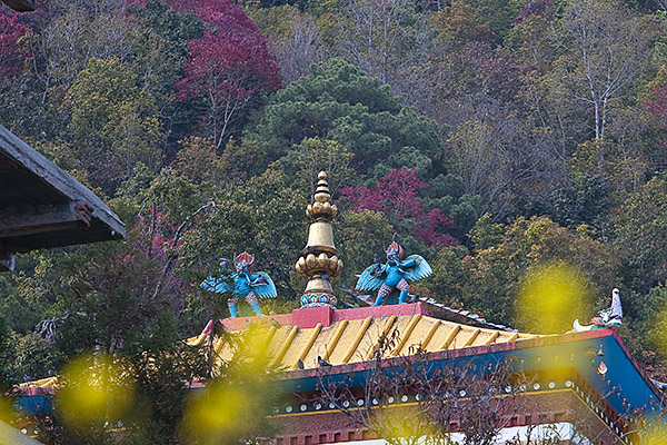 20091208-132942_C5D156_Pharping.jpg