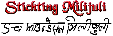 Stichting Milijuli_NL